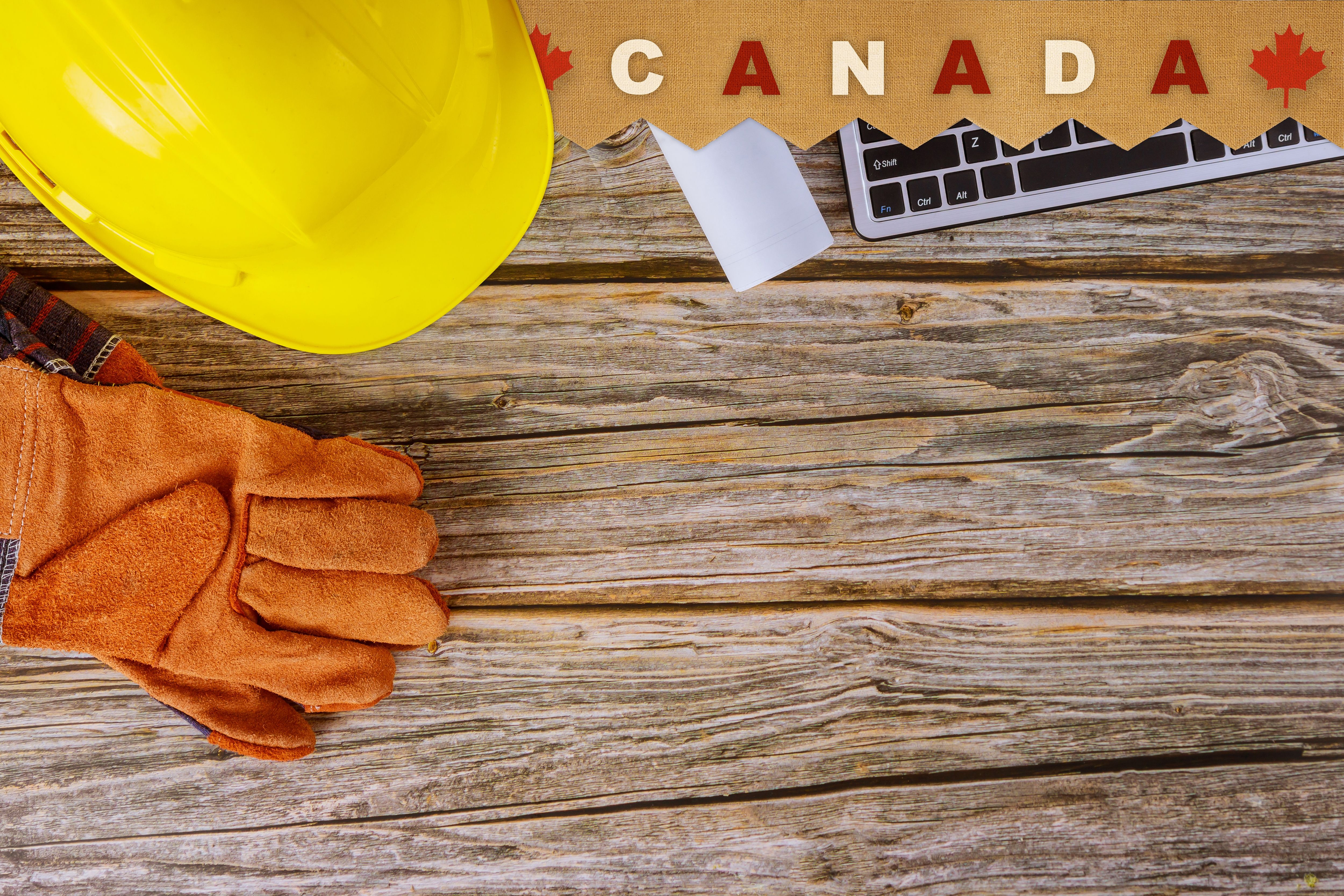 Skilled worker operating equipment